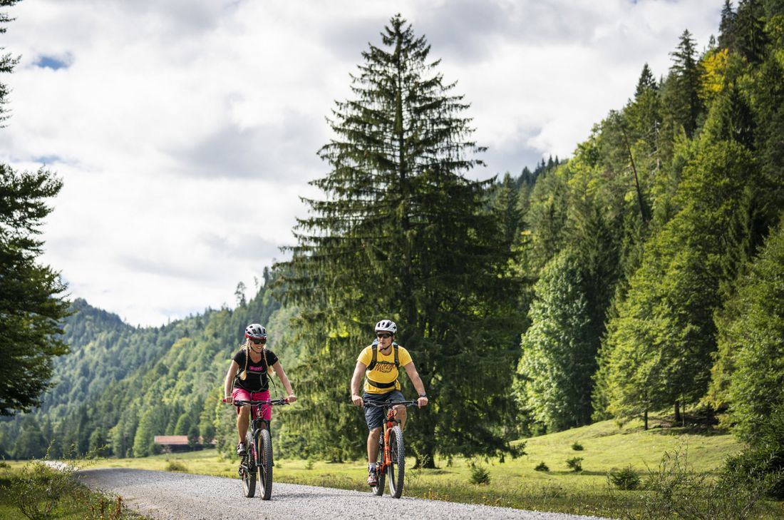 Zwei Radfahrer auf einem Weg zwischen Wiesen und Wald
