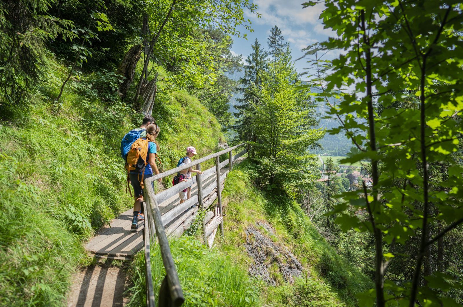 Wanderer auf einem Steig im Wald